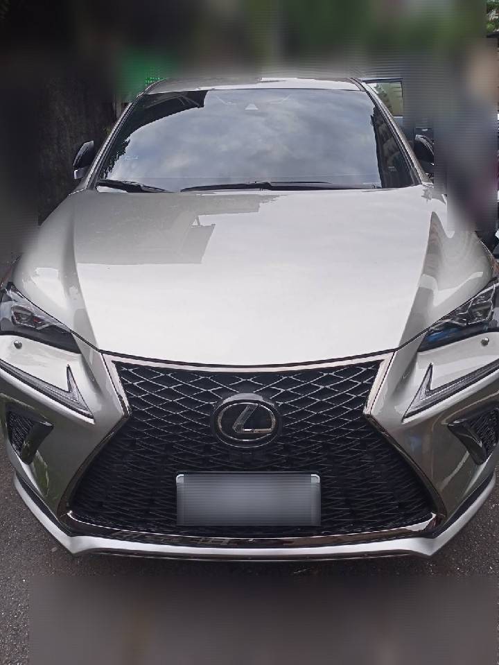 汽車借款,590星宇當舖,新北市汽車借款,三重當舖,三重汽車借款,蘆洲汽車借款,新莊汽車借款,台北市